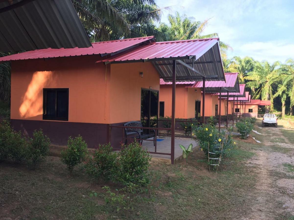 Khao Sok National Park Khao Sok Evergreen House מראה חיצוני תמונה