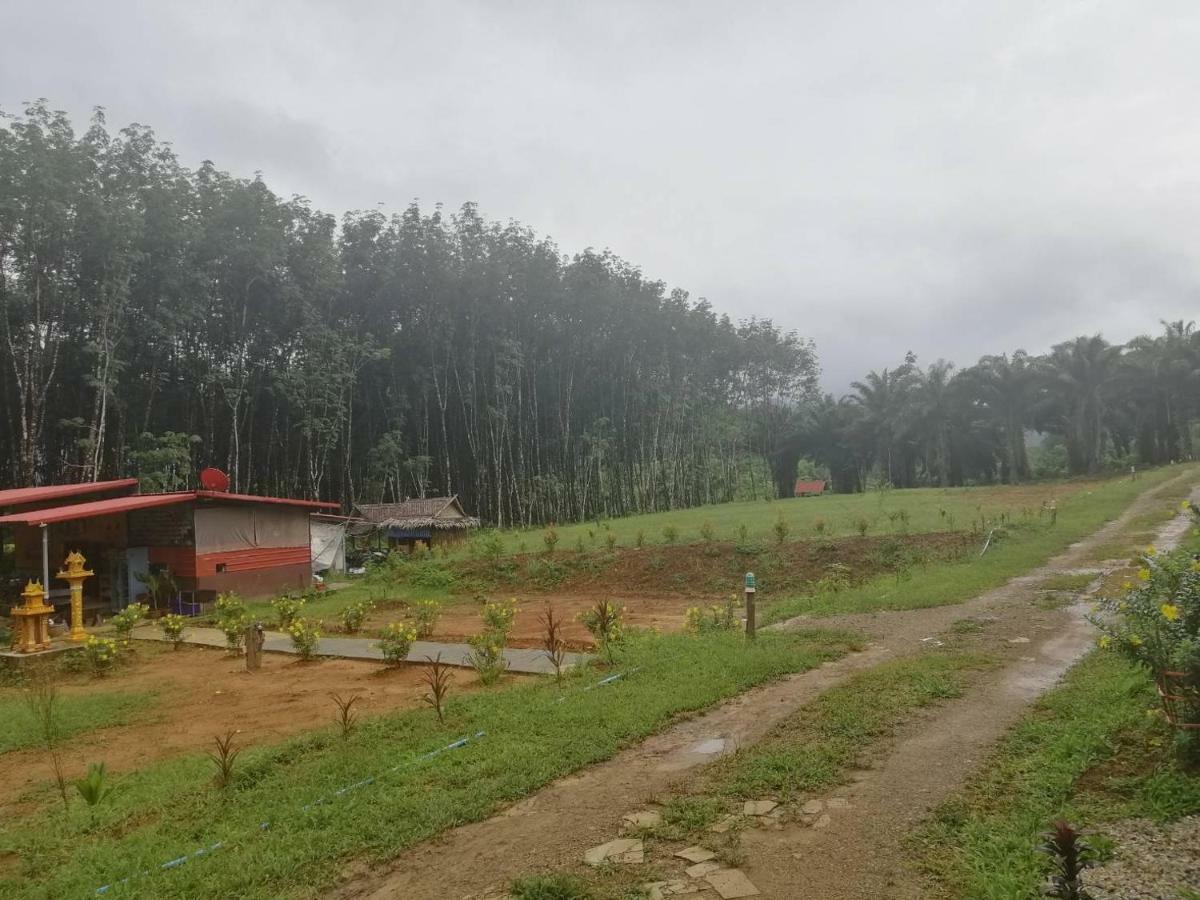 Khao Sok National Park Khao Sok Evergreen House מראה חיצוני תמונה