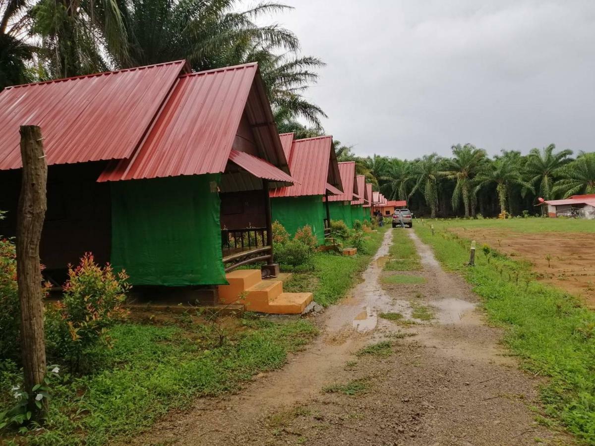 Khao Sok National Park Khao Sok Evergreen House מראה חיצוני תמונה