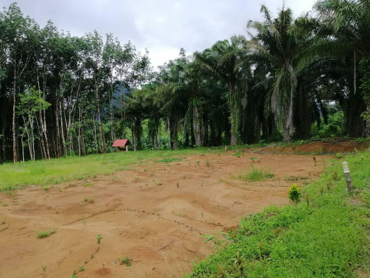 Khao Sok National Park Khao Sok Evergreen House מראה חיצוני תמונה