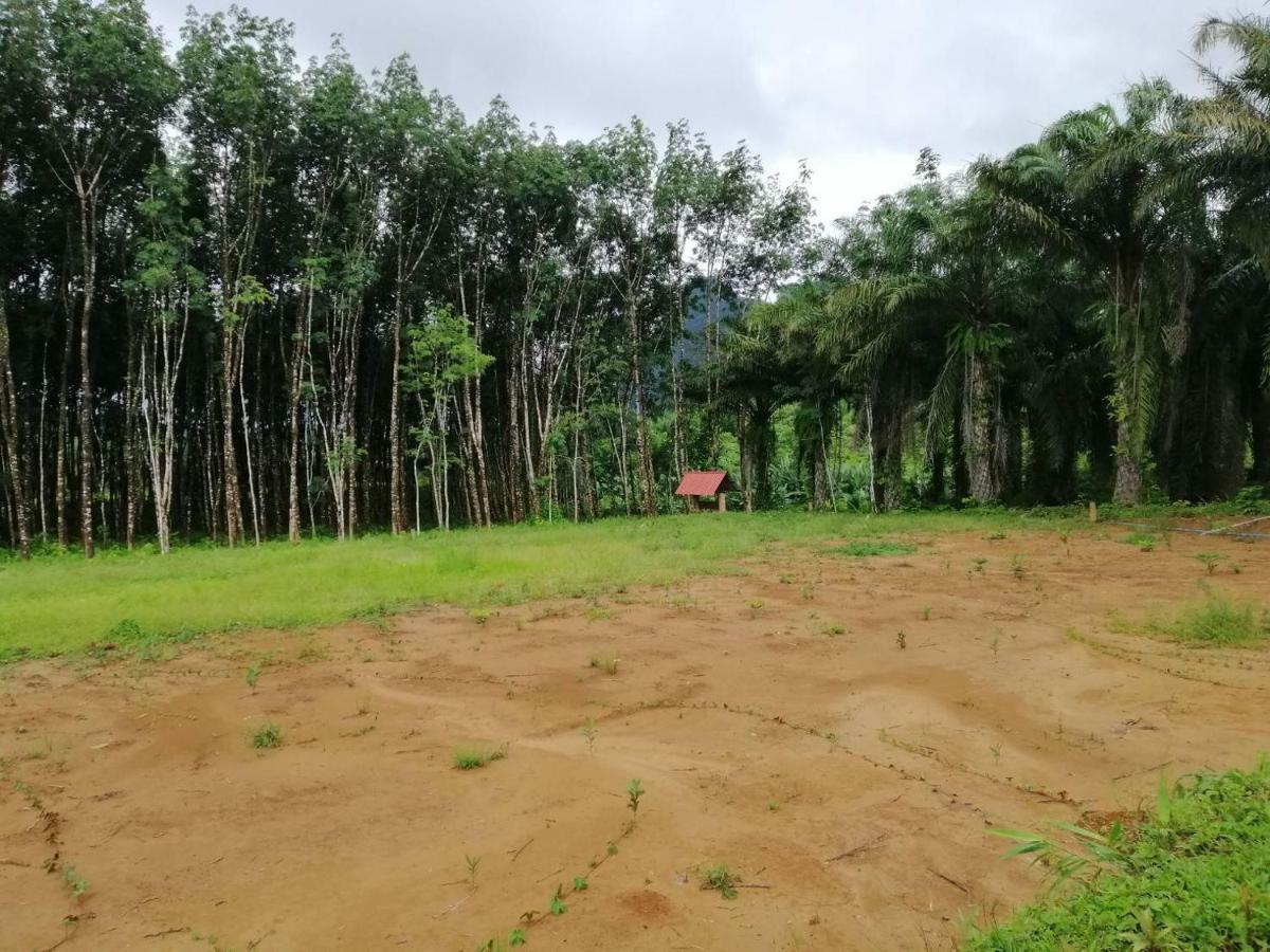 Khao Sok National Park Khao Sok Evergreen House מראה חיצוני תמונה