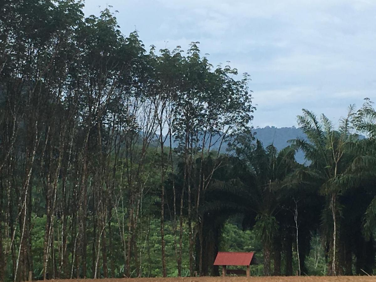 Khao Sok National Park Khao Sok Evergreen House מראה חיצוני תמונה