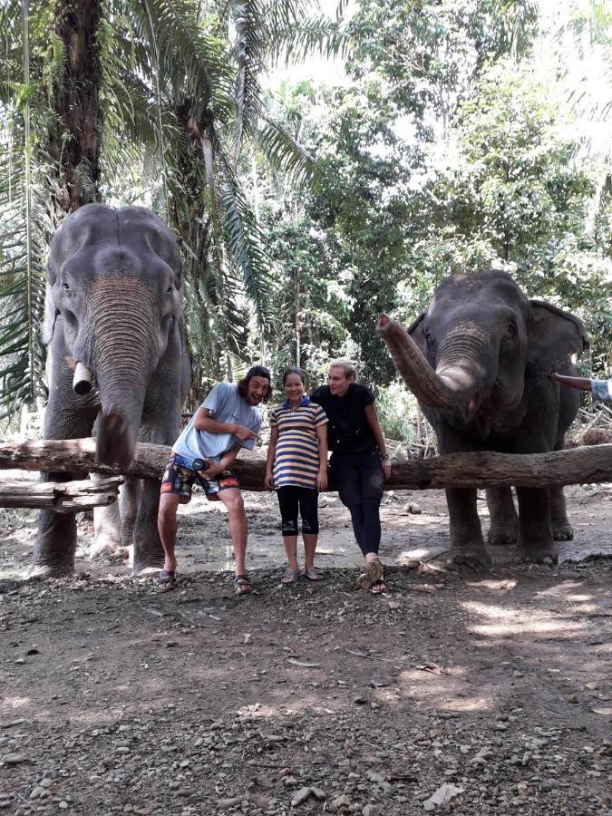 Khao Sok National Park Khao Sok Evergreen House מראה חיצוני תמונה