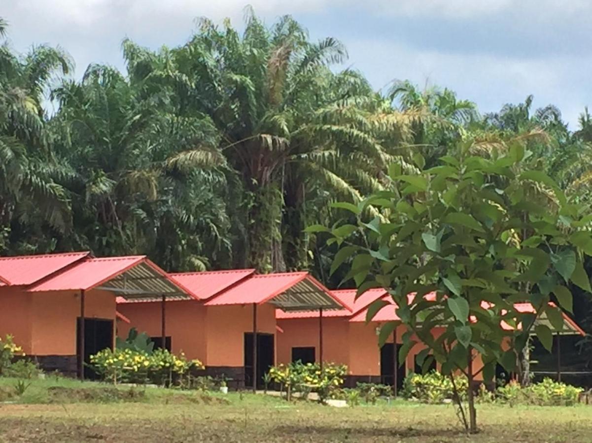 Khao Sok National Park Khao Sok Evergreen House מראה חיצוני תמונה