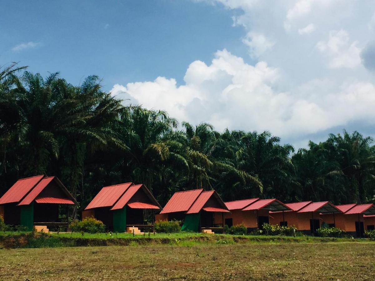 Khao Sok National Park Khao Sok Evergreen House מראה חיצוני תמונה