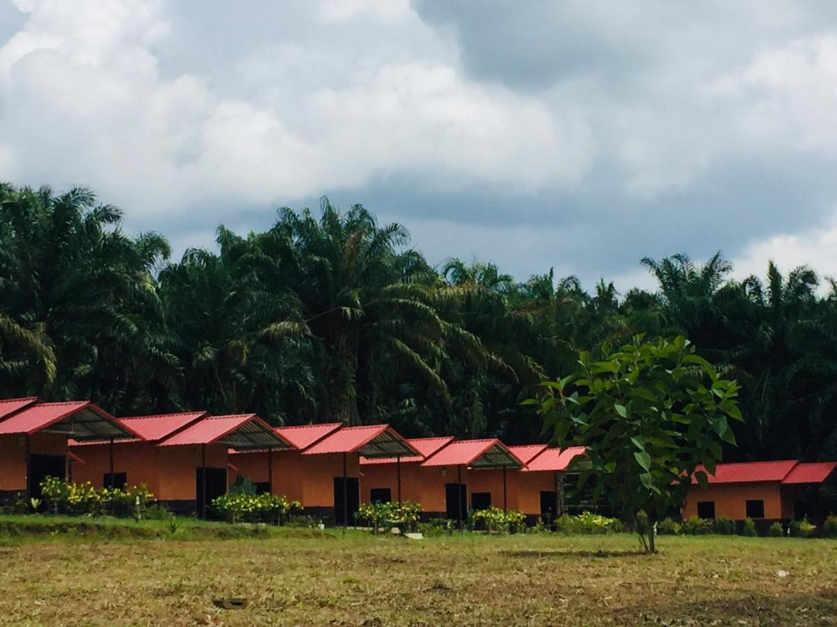 Khao Sok National Park Khao Sok Evergreen House מראה חיצוני תמונה